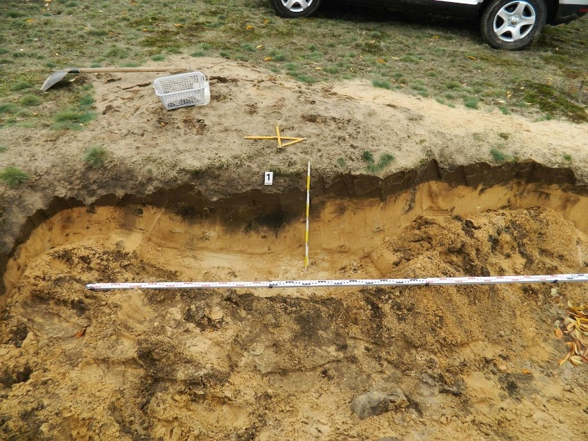 Nowe nabytki trafiły do Muzeum Okręgowego w Sieradzu - dzięki postawie mieszkańca podsieradzkiej wsi