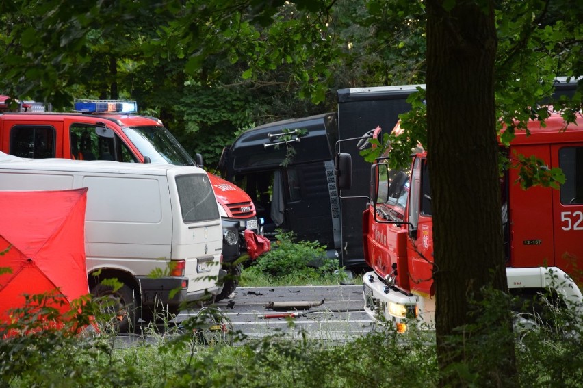 Śmiertelny wypadek na DK nr 11 w Wełnie [ZDJĘCIA]