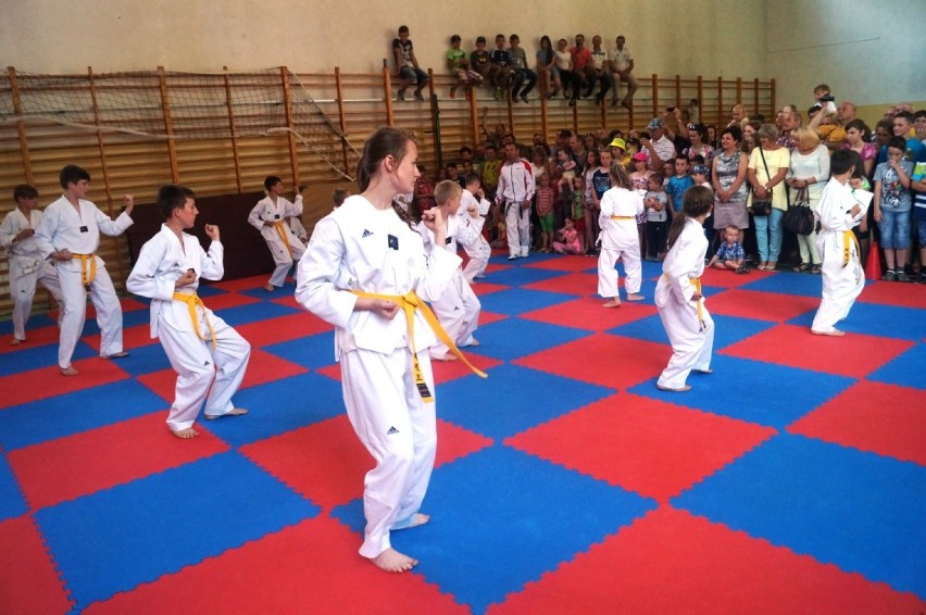 Pokaz taekwondo w Żelaznej