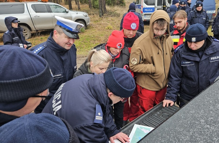Szukali w lesie zaginionych dzieci. Wspólne ćwiczenia służb we Włocławku i okolicy. Zdjęcia