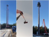 Nadajnik sieci komórkowej udaje drzewo. Na Roztoczu stanęła pierwsza taka antena w Polsce. Zobacz zdjęcia!
