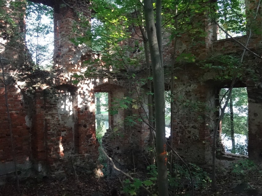 Mirocin Górny - ruiny pałacu