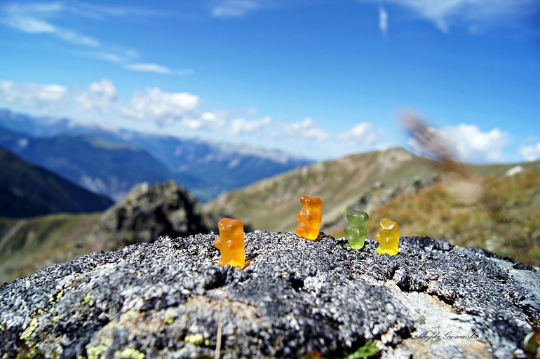 Tyrol

2549 głosów

Zobacz więcej zdjęć z...