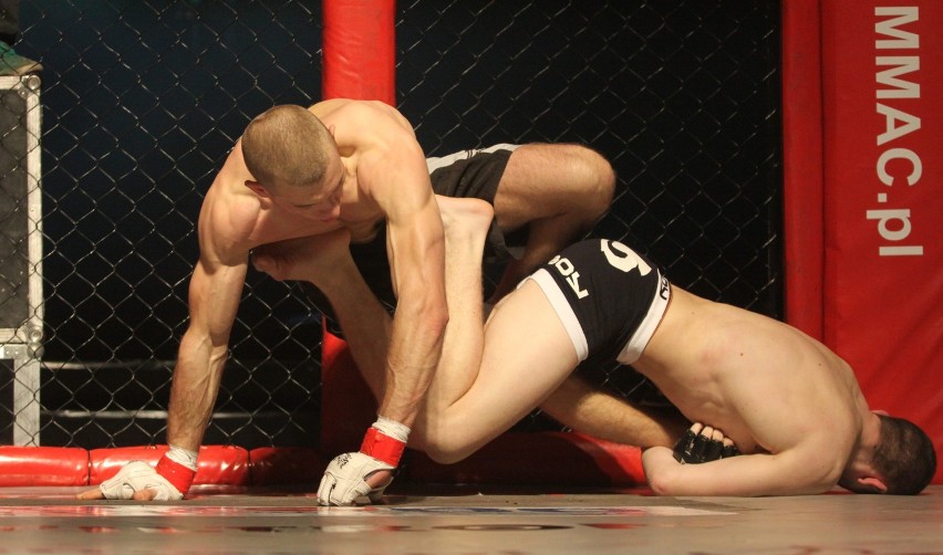 Testosteron 2014: Gala MMA