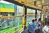 Poznań: Dzień bez Samochodu 2019. Autobusy, tramwaje i pociągi będą wozić pasażerów za darmo. Jest jeden warunek!