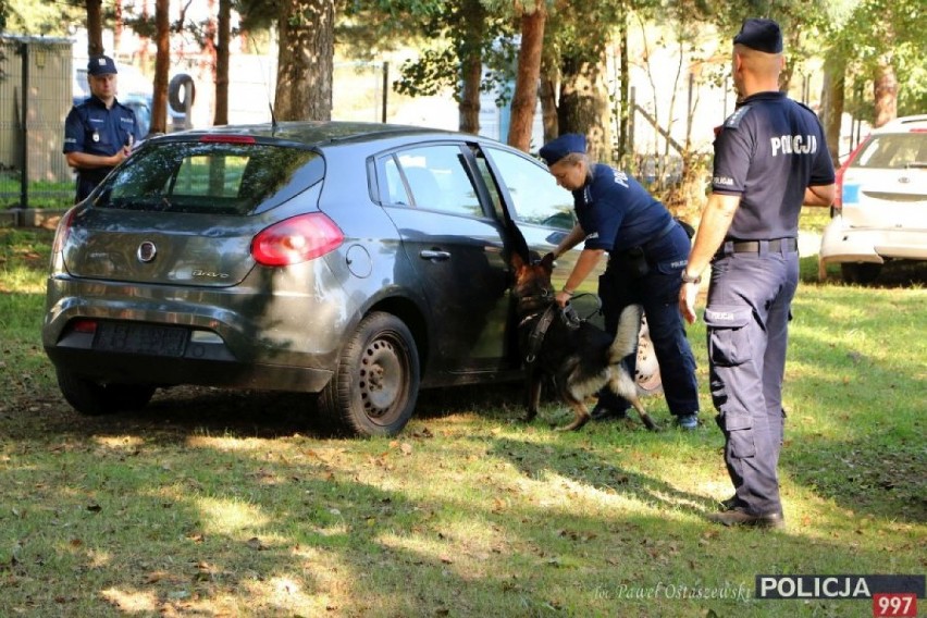 Patrycja Wojtas z Kalisza wśród najlepszych przewodników psów policyjnych w kraju. ZDJĘCIA