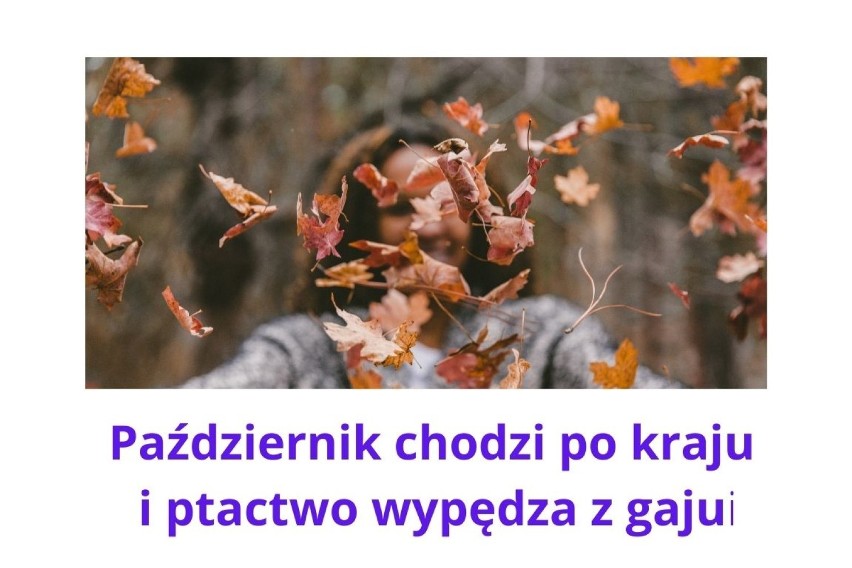 Przysłowia na październik