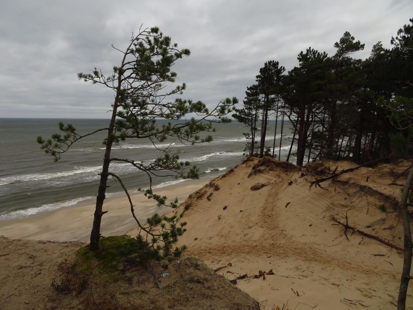 Ustka: zimowe spacery nad morzem idealne dla zdrowia (galeria zdjęć)