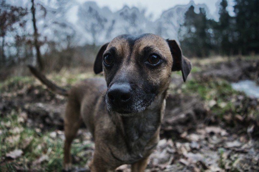 W połowie września 2019 jedna z mieszkanek ostrzegła o...