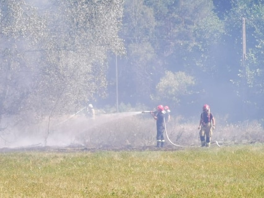 Dwa pożary pod Międzychodem - w niedzielę strażacy walczyli...