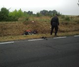 Wypadek w Krupem: Motocyklista wciągnięty pod ciężarówkę (ZDJĘCIA)
