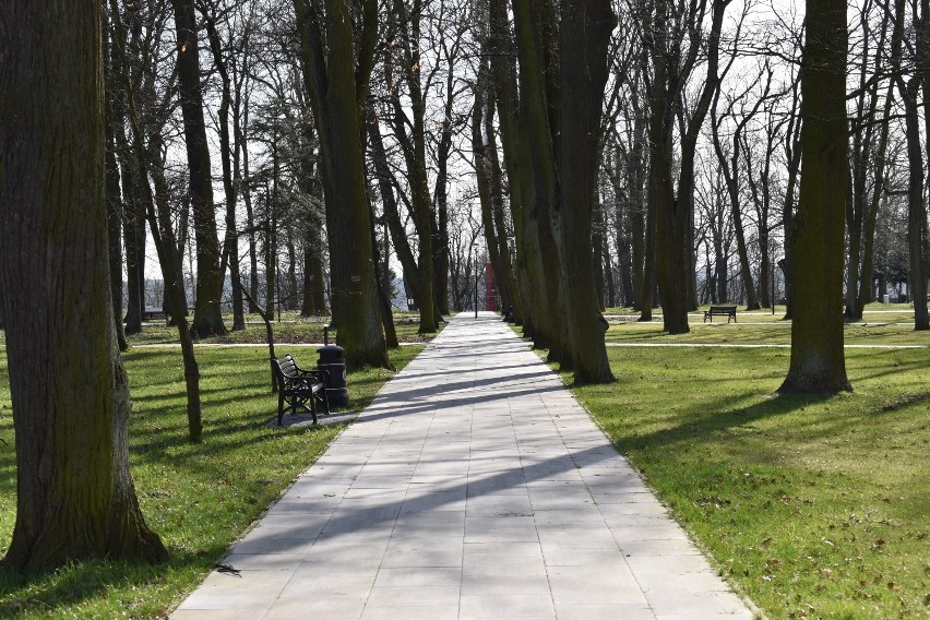 Początki pandemii w Krośnie Odrzańskim. Miasto świeciło...