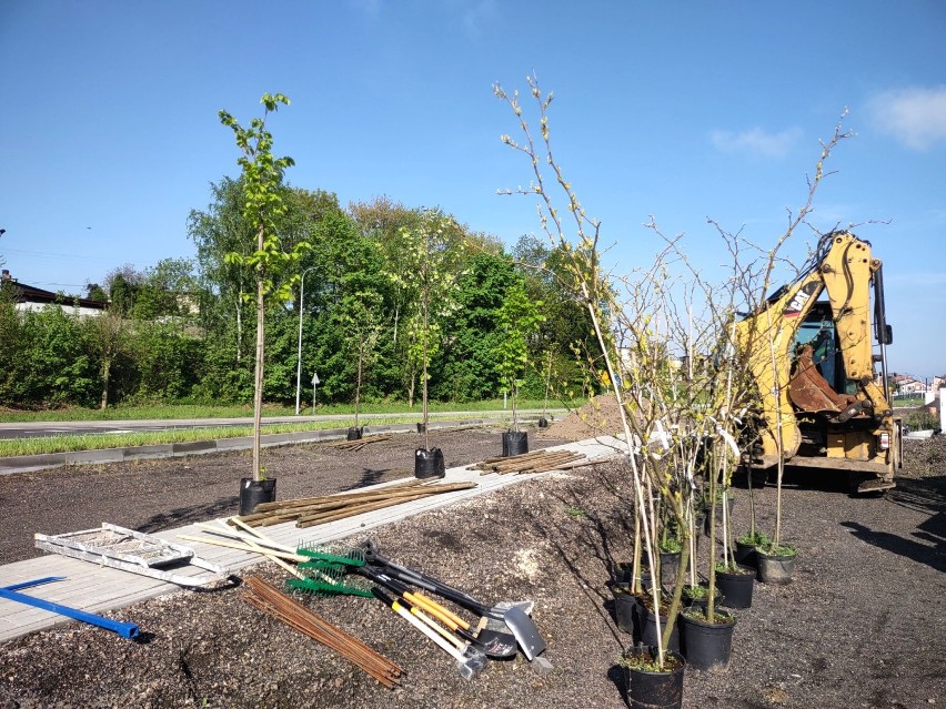 Rybnik: 90 zasadzonych drzew osłoni nowe osiedle...