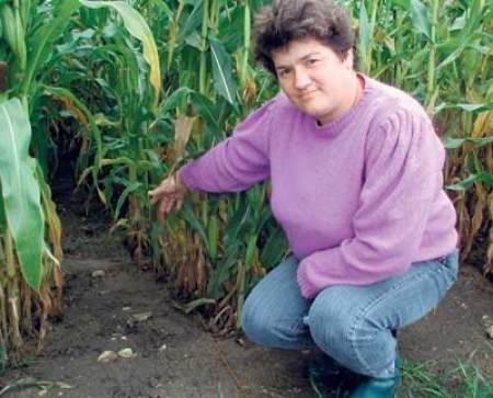 Anida Czyż nie jest w stanie upilnować plantacji kukurydzy. Są na niej już ślady dzików
