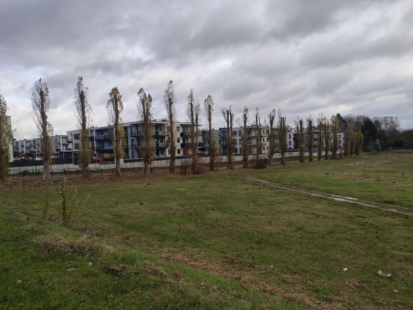 Nowe bloki w Pruszczu często budowane są zbyt blisko siebie