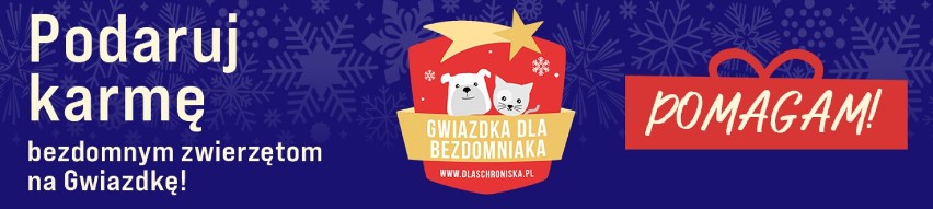 Akcja „Gwiazdka dla Bezdomniaka psa kota z Konina”