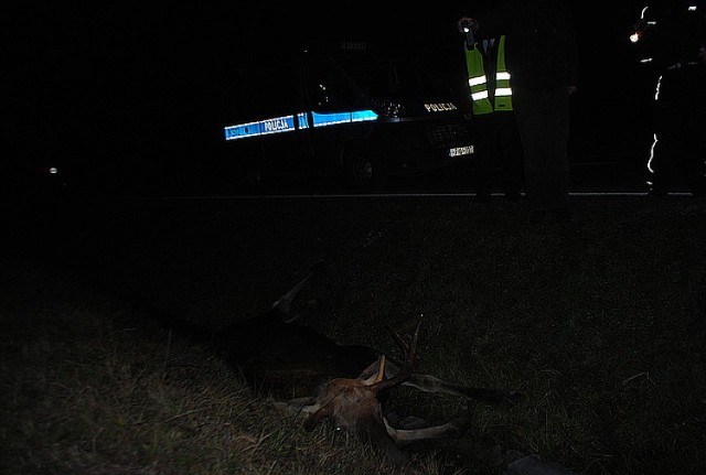 Wypadek na trasie Budomierz - Lubaczów