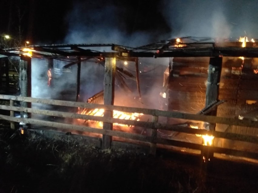 Pożar obiektów rekreacyjnych we wsi Dębogórze 15.03.2021. Płonęło ranczo ze stadniną koni i mini ZOO