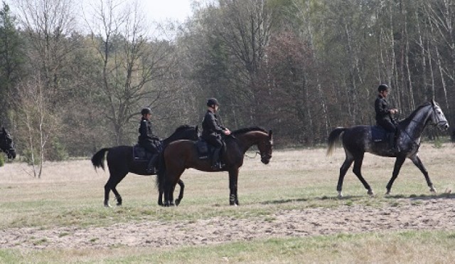 Policja na koniach na obozie kondycyjno - szkoleniowym w Sierakowie