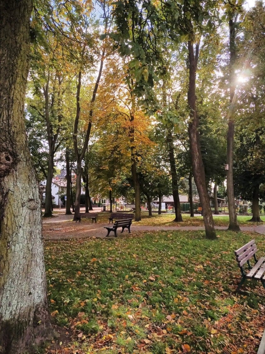 Jesień w Złotowie i niemal puste ulice miasta