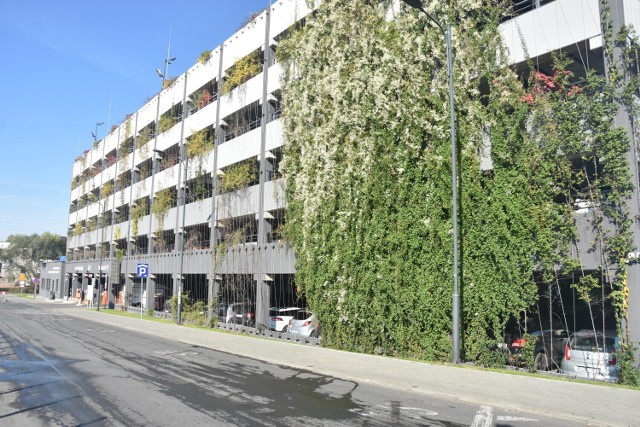 Podwyżki na parkingach w Rybniku będą dotyczyć wszystkich parkingów, którymi zarządza miasto.