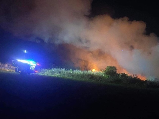 Pożar dzikiego wysypiska śmieci w Kąpielach Wielkich