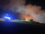 Pożar dzikiego wysypiska śmieci w Kąpielach Wielkich. Z ogniem walczyło sześć zastępów straży pożarnej. Zobacz zdjęcia 