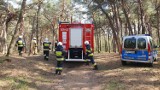 Pozostałości po imprezowym ognisku w helskim lesie postawiły strażaków na nogi | ZDJĘCIA, NADMORSKA KRONIKA POLICYJNA