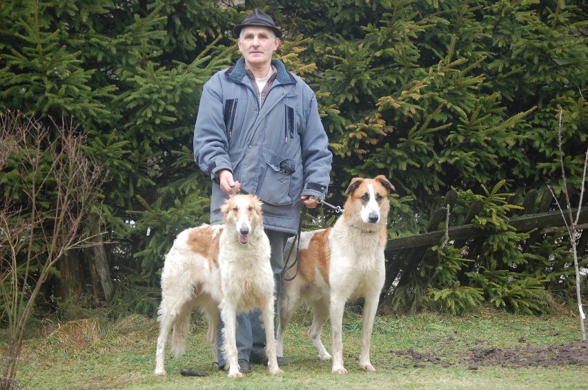 Jan Birr zgłosił dwa psy - charta (z lewej) i mieszańca...