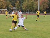 IV liga. Pomezania Malbork - Olimpia Sztum 0:1