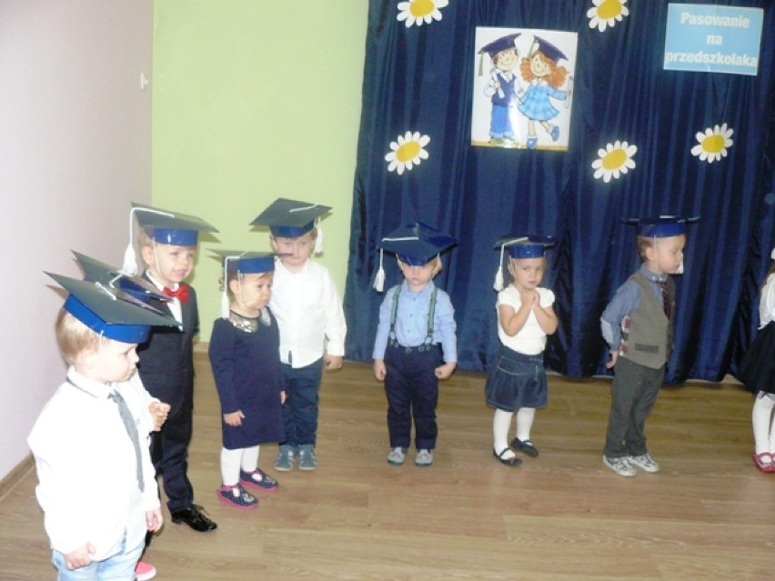 Pasowanie na przedszkolaka w kaliskiej Stokrotce