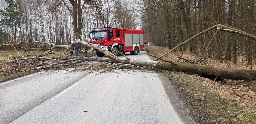 Radomsko/powiat: Silny wiatr uszkodził baner i powalił drzewo na drogę. Interweniowali strażacy