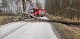 Radomsko/powiat: Silny wiatr uszkodził baner i powalił drzewo na drogę. Interweniowali strażacy