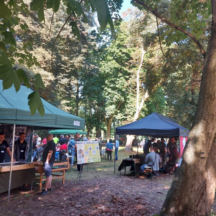 Piknik Historyczny w Wilkowie Polskim. Moc atrakcji dla dużych i małych