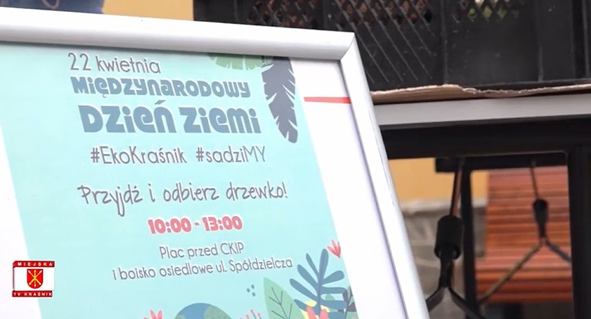 Dzień Ziemi w Kraśniku. Mieszkańcy odebrali sadzonki drzew. Zobacz zdjęcia 