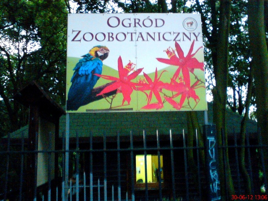 Spacerkiem po Ogrodzie Zoobotanicznym w Toruniu