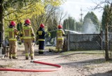 Do szamba mieszczącego się pod oborą wpadła maciora z prosiętami, paliły się śmieci na cmentarzu, obiad w garnku...