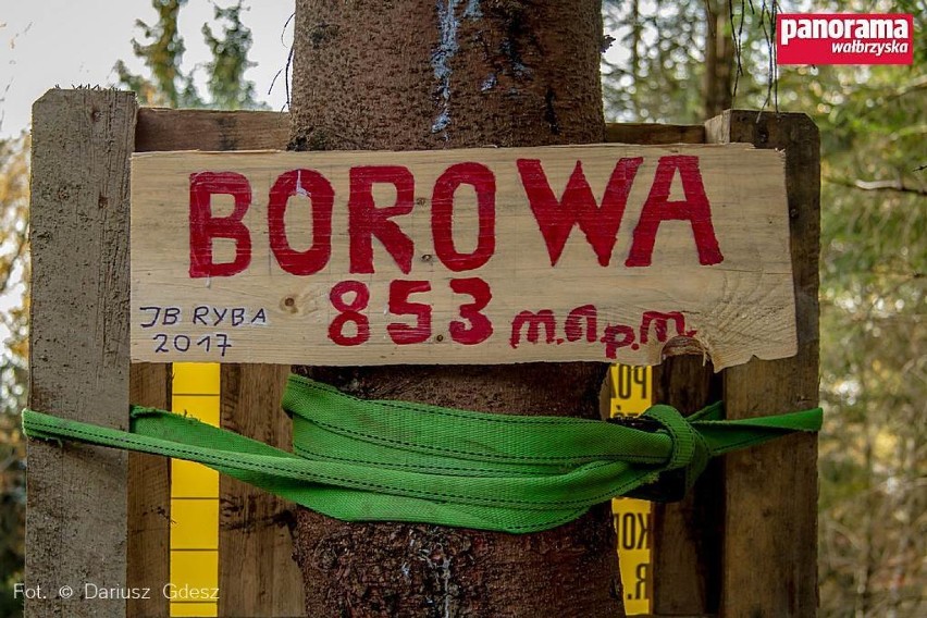 Budowa wieży widokowej na Borowej - najwyższym szczycie Gór...