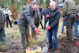 Podhale. Wystartowała ogólnopolska kampania „Łączą nas drzewa”. Polega na sadzeniu drzewek 