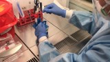 Koronawirus. Aktualna sytuacja epidemiczna w powiecie szczecineckim [13 października]