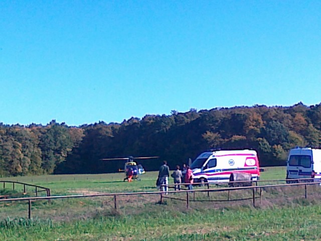 13-letnia dziewczynka spadła z konia, została przewieziona helikopterem do szpitala. Dziecku nic się nie stało.