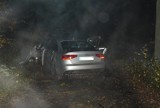 Pościg za kierowcą audi. Auto zostało kompletnie rozbite i porzucone w lesie [ZDJĘCIA]