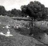 Kąpiele, opalanie, sianokosy... Tak dawniej spędzano czas w Parku Centralnym [ZDJĘCIA]