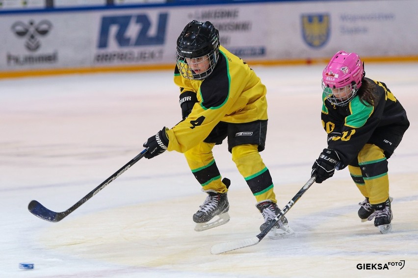 Fundacja Sportowe Katowice rozwija młodych adeptów w trzech...