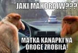 MEMY o stereotypowej polskiej rodzince - Janusz i Halina, prawdziwa rodzina! "Do jakiego magdonalda Pioter, zjemy kotlety w domu!"