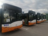 Uwaga mieszkańcy Sandomierza! Zmiany w kursowaniu autobusów miejskich w okresie od 11 do 14 listopada