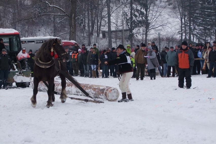 Węgierska Górka: Międzynarodowe Zawody Furmanów 2013 [ZOBACZ ZDJĘCIA]