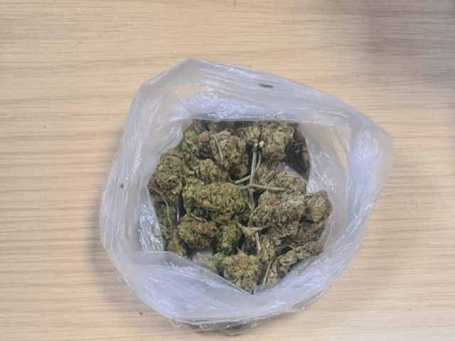 W wyniku przeszukania policjanci z Włocławka znaleźli w mieszkaniu mężczyzny podejrzanie wyglądający susz roślinny, który następnie zabezpieczyli do dalszych badań. Wykazały one, że jest to ponad 120 gramów marihuany.