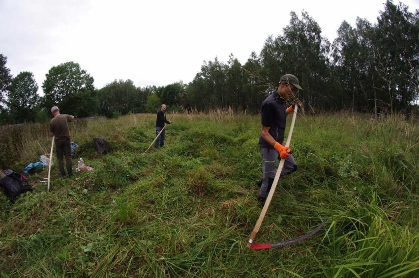 Zagórskie Sianokosy za nami. Społecznicy walczą o ochronę zagrożonych roślin