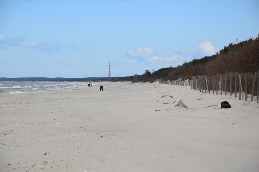 Lasy, parki i plaże od są już otwarte. Poluzowane ograniczenia w czasie epidemii